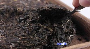 普洱茶为什么有独特的茶味？探讨其口感特点及形成原因