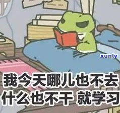 负债12万的我该怎么办？怎样走出困境、翻身逆袭？