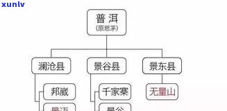 制作普洱茶胶块：过程、特性与应用全解析