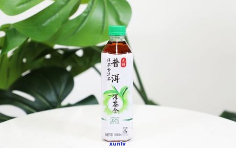 淳茶舍是什么品牌？真的是茶吗？哪个口味好喝？价格多少？