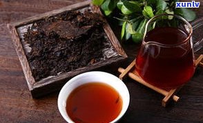 普洱茶属于什么茶类型的茶？深入了解其分类与特点