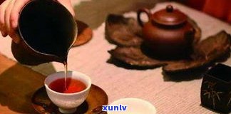 普洱茶属于什么茶类型的茶？深入了解其分类与特点