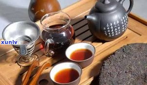 普洱茶属于什么茶类型的茶？深入熟悉其分类与特点