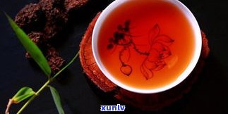 探究普洱老茶头的功效与作用，它是高档茶吗？了解相关禁忌与好处