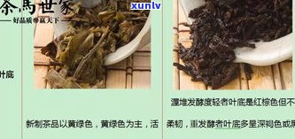 普洱茶存放是生茶吗？理解生、熟茶的区别与影响因素