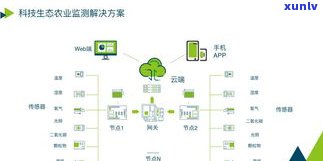 兴海班章生态茶：2003年至2021年的发展历程与产品系列，包括砖茶和野生茶