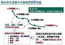 兴海班章生态茶：2003年至2021年的发展历程与产品系列，包括砖茶和野生茶