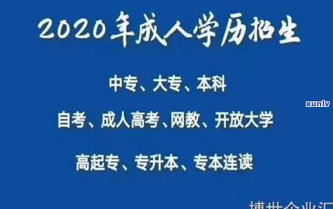 优质普洱茶服务平台：一站式选购、学习与交流的专业平台