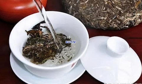 普洱茶是哪类茶？详解其种类和特点