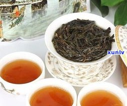 熟普洱茶加菊花：功效、作用、禁忌全解析