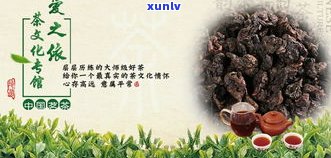 普洱茶洗茶的技巧与方法详解：步骤、注意事项及常见误区