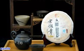 濮茶与普洱茶的关系：从历史、制作工艺到品质口感的全面解析