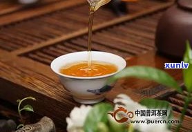 普洱饼茶：生茶还是熟茶？全面解析