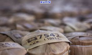 大益茶普洱茶品种-大益茶普洱茶品种介绍