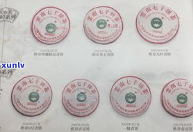 大益茶普洱茶品种-大益茶普洱茶品种介绍