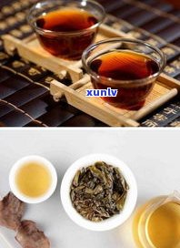 喝完生普洱茶恶心想吐：原因、缓解方法及是否正常？