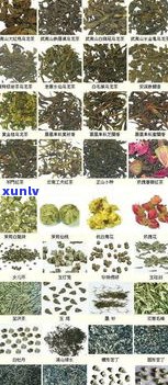 古树茶普洱茶制作工艺：详细流程与特点解析