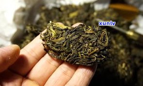 古树茶普洱茶制作全过程：视频与图片详解