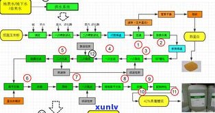 深入解析：古树普洱茶制作工艺及其详细流程图