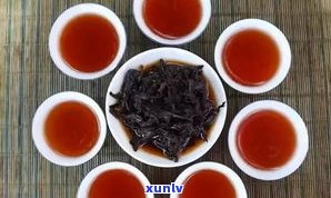 普洱茶中的野生茶：含义、类型与优缺点