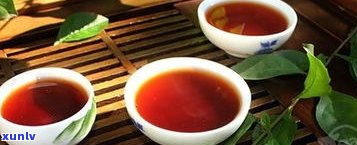 普洱茶中的野生茶-普洱茶中的野生茶是什么茶