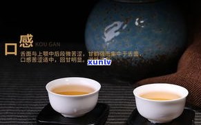 普洱茶无味好？探究无味之味的价值与魅力