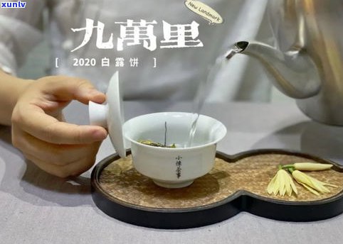 普洱茶饼碎茶工具有哪些种类、品牌及图片？如何正确使用工具将茶饼弄碎？