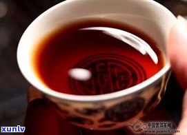 热卖的普洱茶熟茶-热卖的普洱茶熟茶能喝吗