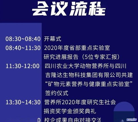 负债400万：怎样翻身？可能性与策略探讨