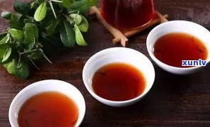 普洱茶苦甜茶品种、区别与功效全解析