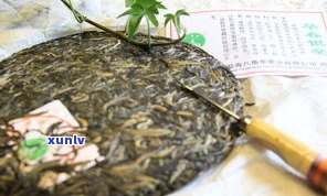 普洱紫茶：生茶与熟茶的区别及优劣，哪个更适合你？生茶等级解析