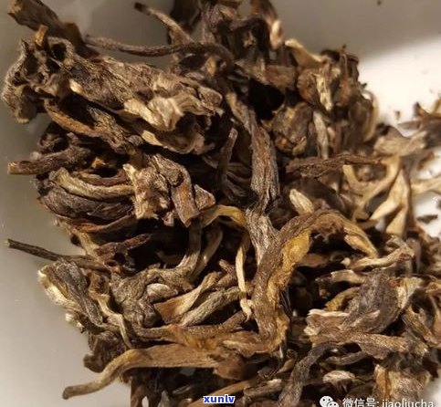 粗枝大叶的普洱茶-粗枝大叶的普洱茶叫什么