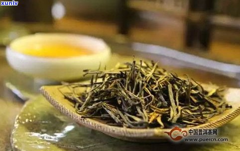 老树普洱茶生茶与熟茶的区别及其功效：哪个更好？