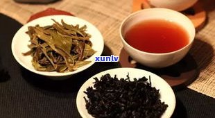 普洱茶和酸枣叶茶-普洱茶和酸枣叶茶哪个好