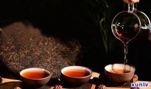 普洱茶的存茶条件是什么？详解存放要求与注意事项