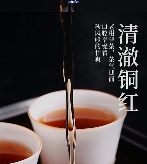 柑皮普洱茶熟茶的功效、作用与禁忌全解析