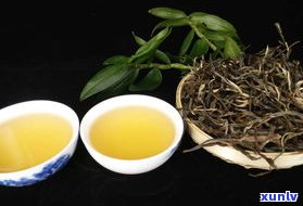 普洱茶是老树茶吗-普洱茶是老树茶吗