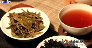 普洱茶适合搭配哪些茶点？如何保存普洱茶与茶点？选择普洱茶的最佳茶具是什么？购买普洱茶时应考虑哪些因素？