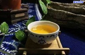 普洱茶养什么茶宠-普洱茶养什么茶宠物最好