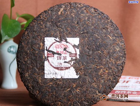 兴发普洱茶生茶饼-兴发茶厂熟茶哪款好