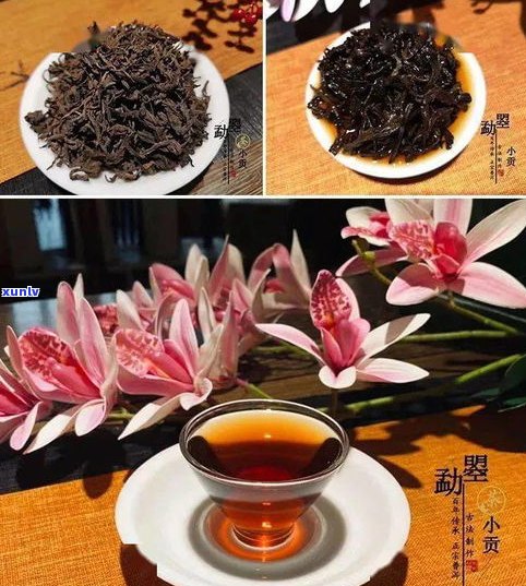 1998年的普洱茶：价值、价格与饮用性探讨