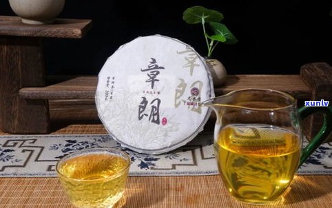 98年生普洱茶价格全解析：从饼茶到散茶的价格对比