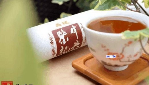 98年生普洱茶价格全解析：从饼茶到散茶的价格对比