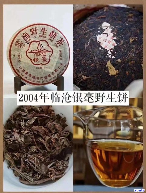 石佛洞的茶怎么样？口感如何，值得一试吗？