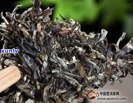 石佛洞普洱茶生茶-石佛洞 普洱茶