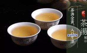 云南普洱茶饼：熟茶还是生茶？探讨哪种更好