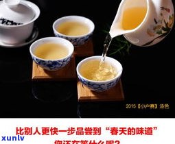 普洱茶小户赛：种类、价格、特点与简介