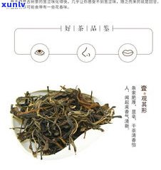 小户塞普洱茶生茶-普洱生茶 小户赛