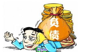 负债数十万：怎样应对？生活状况怎样？