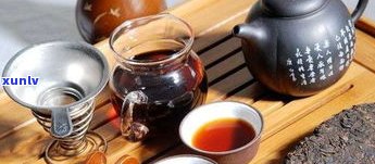 散普洱茶的冲泡方法、保存技巧及最佳饮用时间全解析